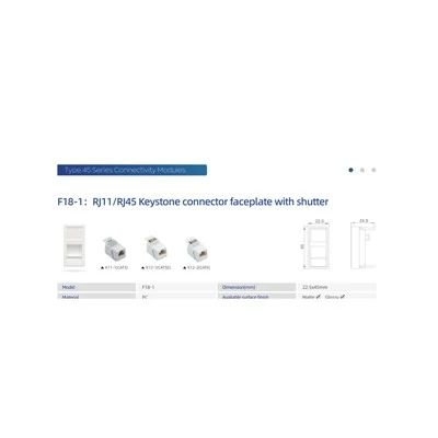 Placă frontală RJ11 RJ45 cu obturator
